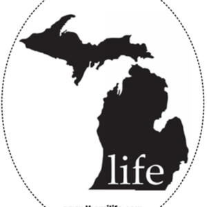 MIlife Decal